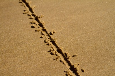 line in sand